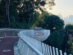 -金鸡山公园