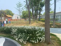 -光明牧业有限公司金山种奶牛场