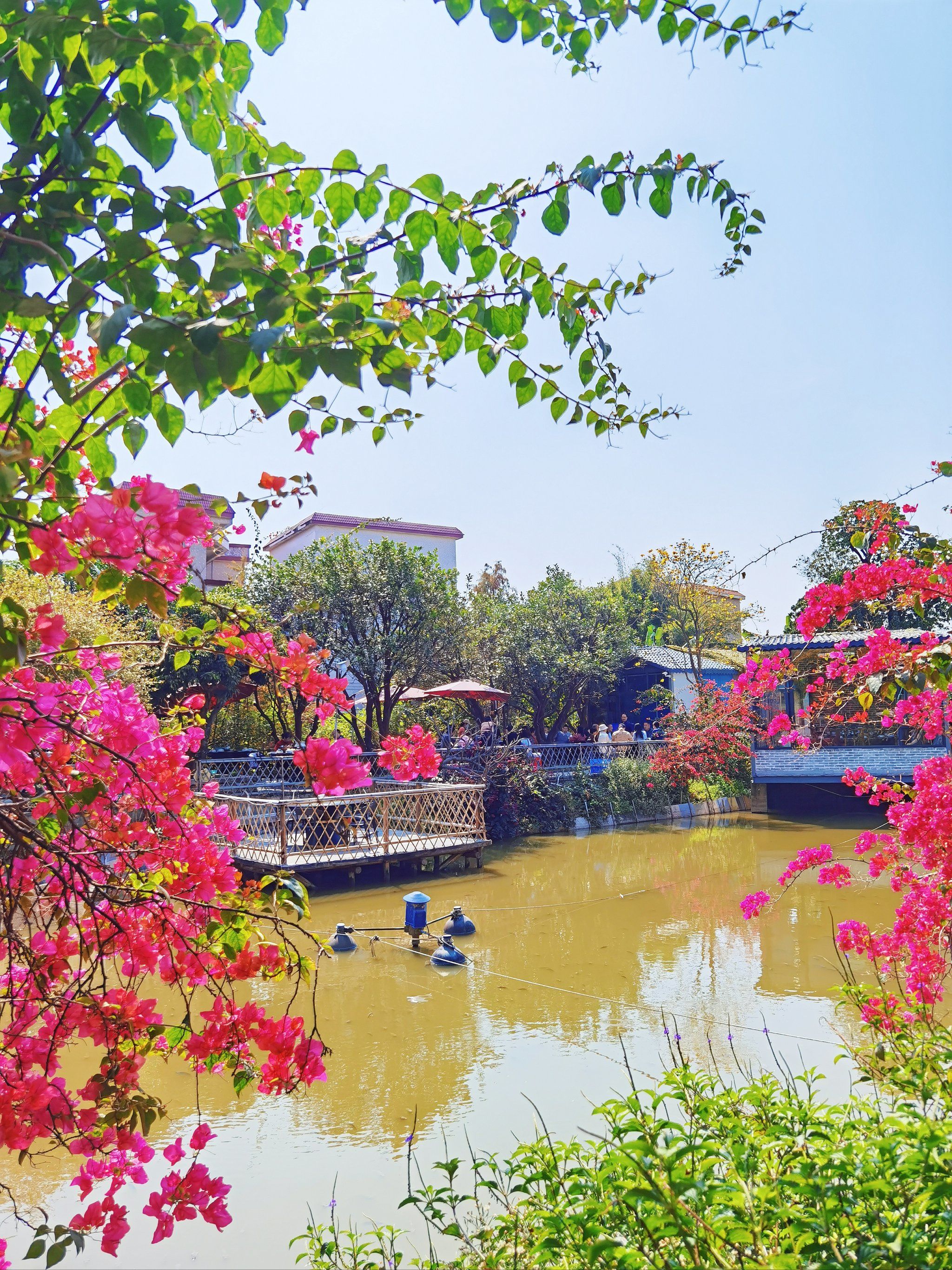 不会吧6015还有人不知道这家顺德农家菜06