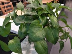 -李先生牛肉面大王(莱芜信誉楼店)