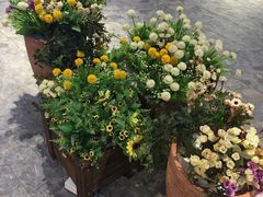 -康美道家中医养生SPA馆(牡丹江路店)