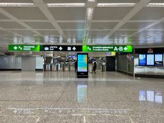 -米兰马尔彭萨国际机场