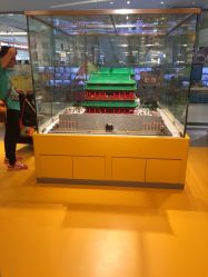 -乐高授权专卖店(朝阳大悦城店)