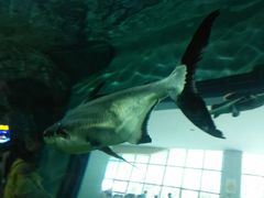 -福州罗源湾海洋世界旅游区