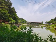 -铁山坪森林公园