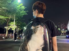 -二沙岛艺术公园