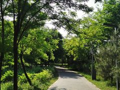 -东郊湿地公园