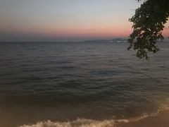 -卷心菜和避孕套餐厅(Pattaya)