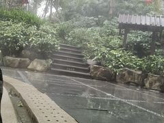 -青城道汤池