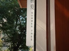-树夏Tree Summer