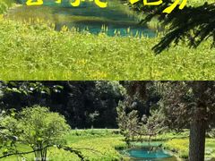 -白鹭湾湿地公园