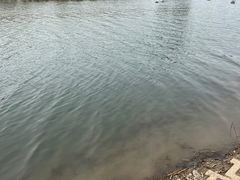 -门城湖公园