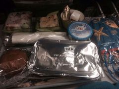 -西沃古尔·拉姆古兰爵士国际机场