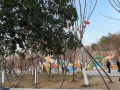 -甘棠公园