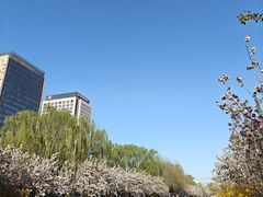 -元大都城垣遗址公园