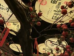 -同乐馆(阳光店)