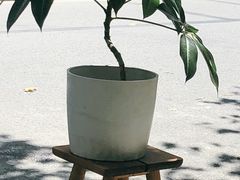 -Onirii Coffee(长乐路店)