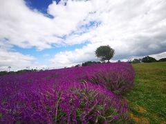 -云漫湖生态度假公园