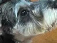 -喵汪宠物生活馆(涞坊路店)