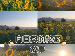 -君乐宝优致牧场