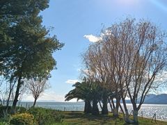 -滇池海埂公园