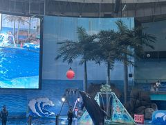 -海合安成都极地海洋公园
