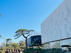 -罗红摄影艺术馆