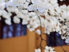 -杭州上天竺法喜讲寺
