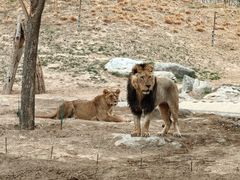 -北京野生动物园