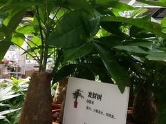-IKEA宜家家居(南京商场)