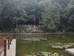-香山公园