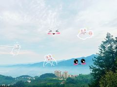 -北门张家羊肉粉(森航·乐活城西南)