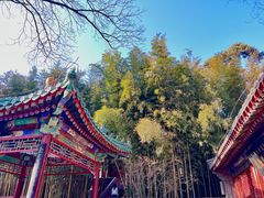 -潭柘寺景区