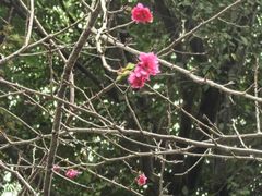 -福建鲤鱼洲酒店