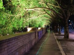 -闽江夜游台江旅游码头