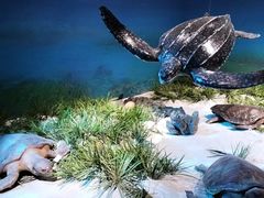 -重庆自然博物馆(新馆)