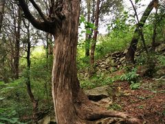 -四门塔风景区