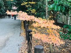 -热田神宫