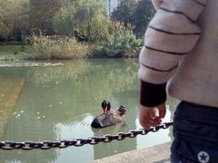 android_upload_pic-徐家汇源景区-衡山公园