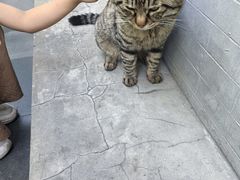 -正阳书局(西四南大街店)