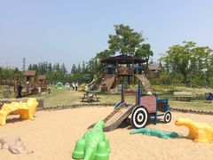 -上海长兴岛郊野公园