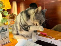 -咖法森林·咖啡  酒吧(天河店)