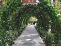 -东平国家森林公园