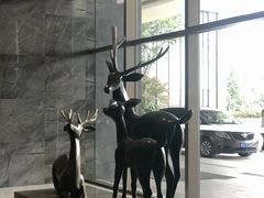 -长沙君悦酒店·自助餐厅咖啡厅