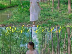 -合肥滨湖国家森林公园