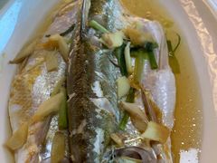 清蒸白水鱼-洞天食府(北大街店)