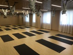 -酉嘉瑜伽YO+YOGA