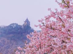 -上海辰山植物园