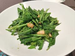 -肆月河豚·新淮扬菜·烤鸭(中关村店)