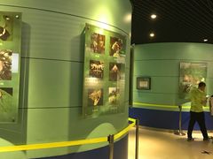 -上海昆虫博物馆